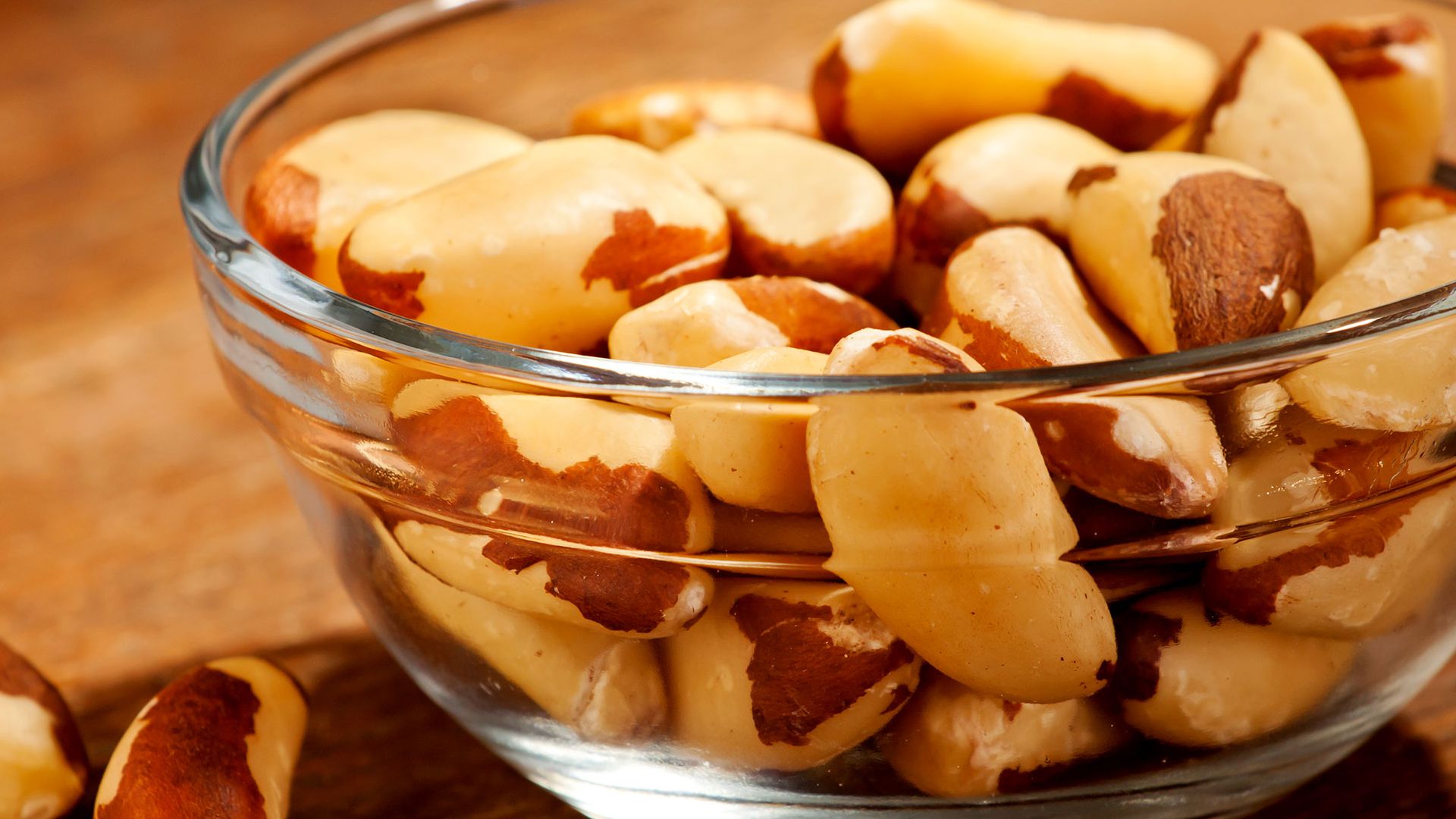 Risco de Extinção do Cacau