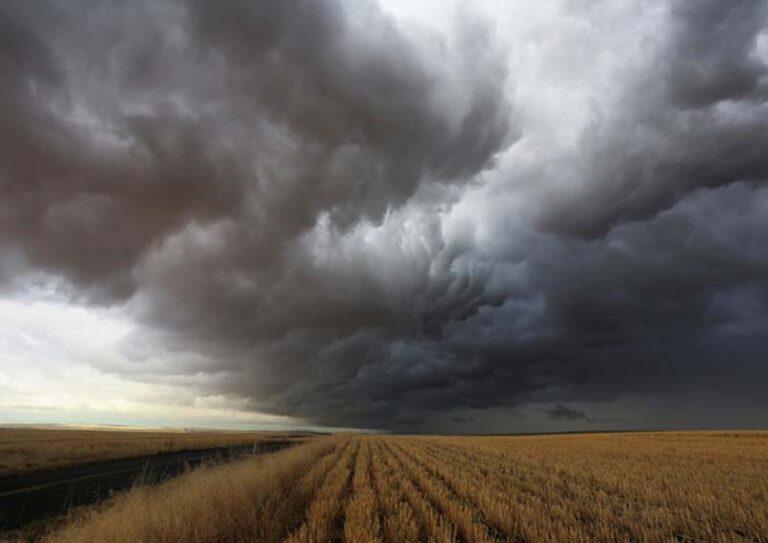 Pesquisa mostra que El Niño será o terceiro mais forte da história