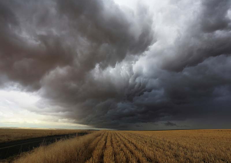 Pesquisa mostra que El Niño será o terceiro mais forte da história Pesquisa mostra que El Niño será o terceiro mais forte da história