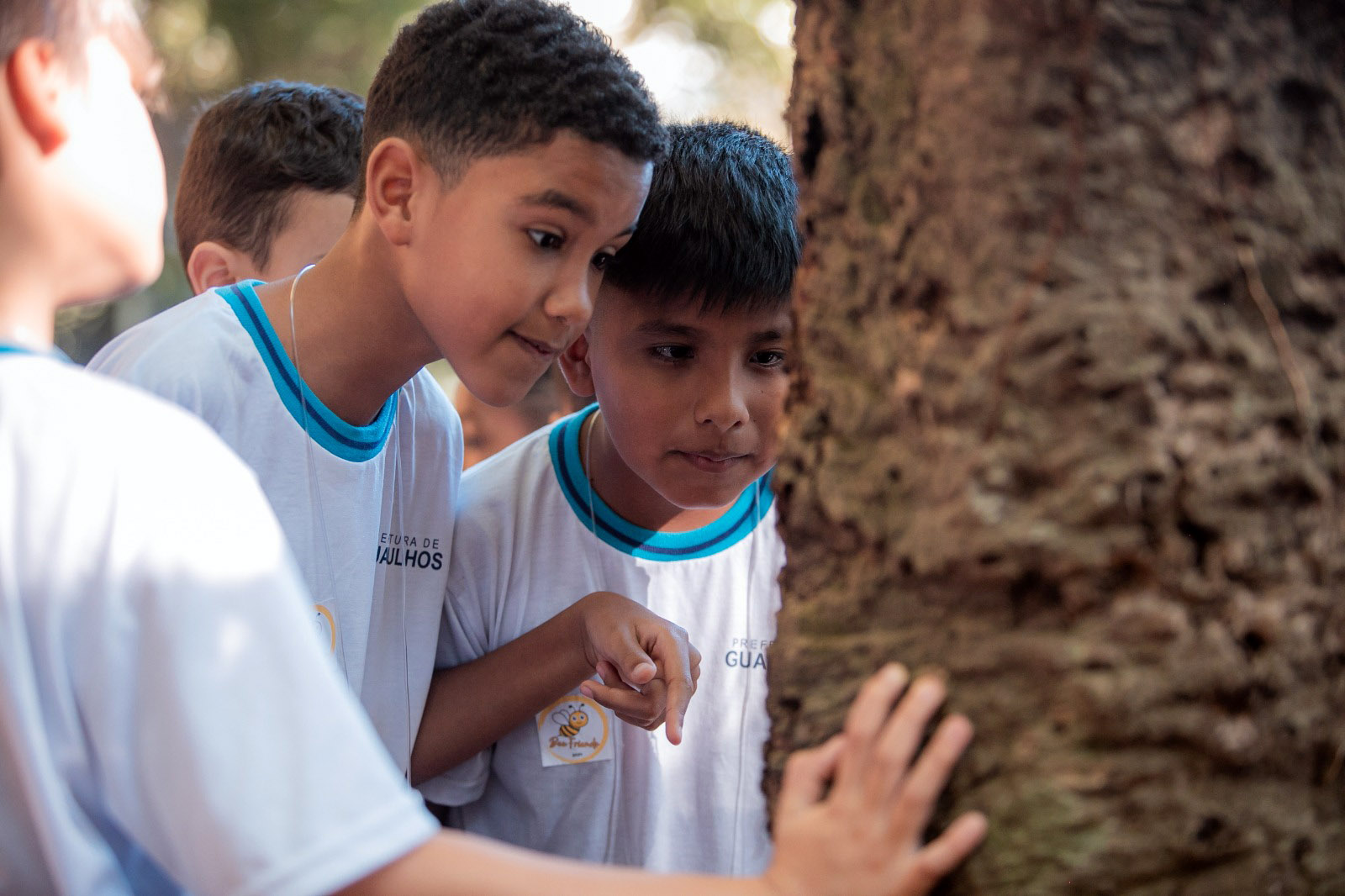 Alunos de EPG vivenciam experiência com abelhas no Bosque Maia