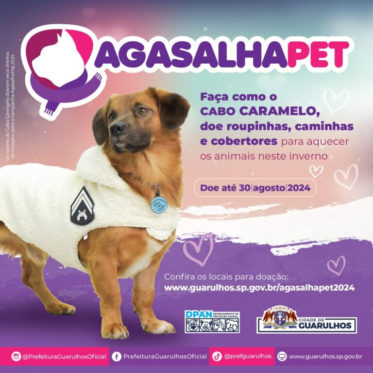 Campanha de arrecadação de agasalhos para pets recebe doações em 93 pontos de Guarulhos