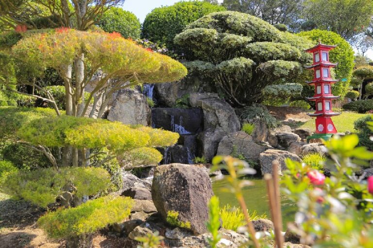 Maior jardim japonês do Brasil fica em cidade paulista