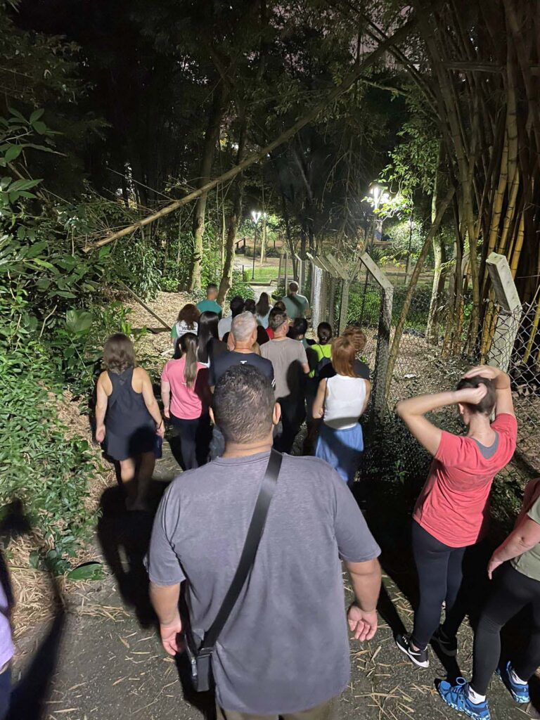 Nova edição da Trilha Noturna no Bosque Maia tem inscrições abertas