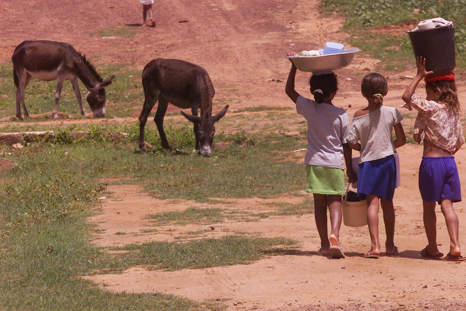 O trabalho infantil e a responsabilização do futuro do planeta às crianças O trabalho infantil e a responsabilização do futuro do planeta às crianças