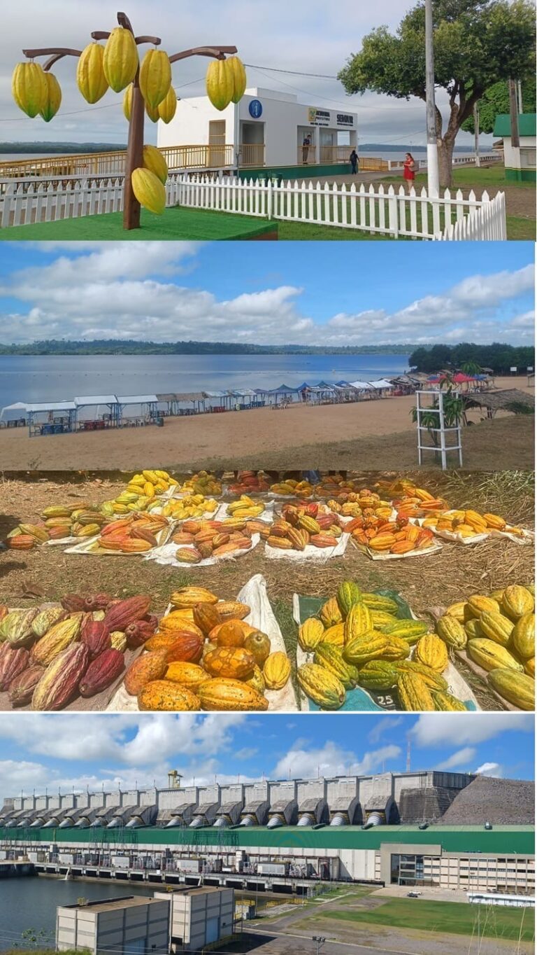 Rota do Cacau e do Chocolate: frutos turísticos nascem