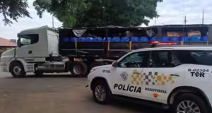 PM encontra 1.500 celulares dentro de carga de azeitonas em caminhão PM encontra 1.500 celulares dentro de carga de azeitonas em caminhão