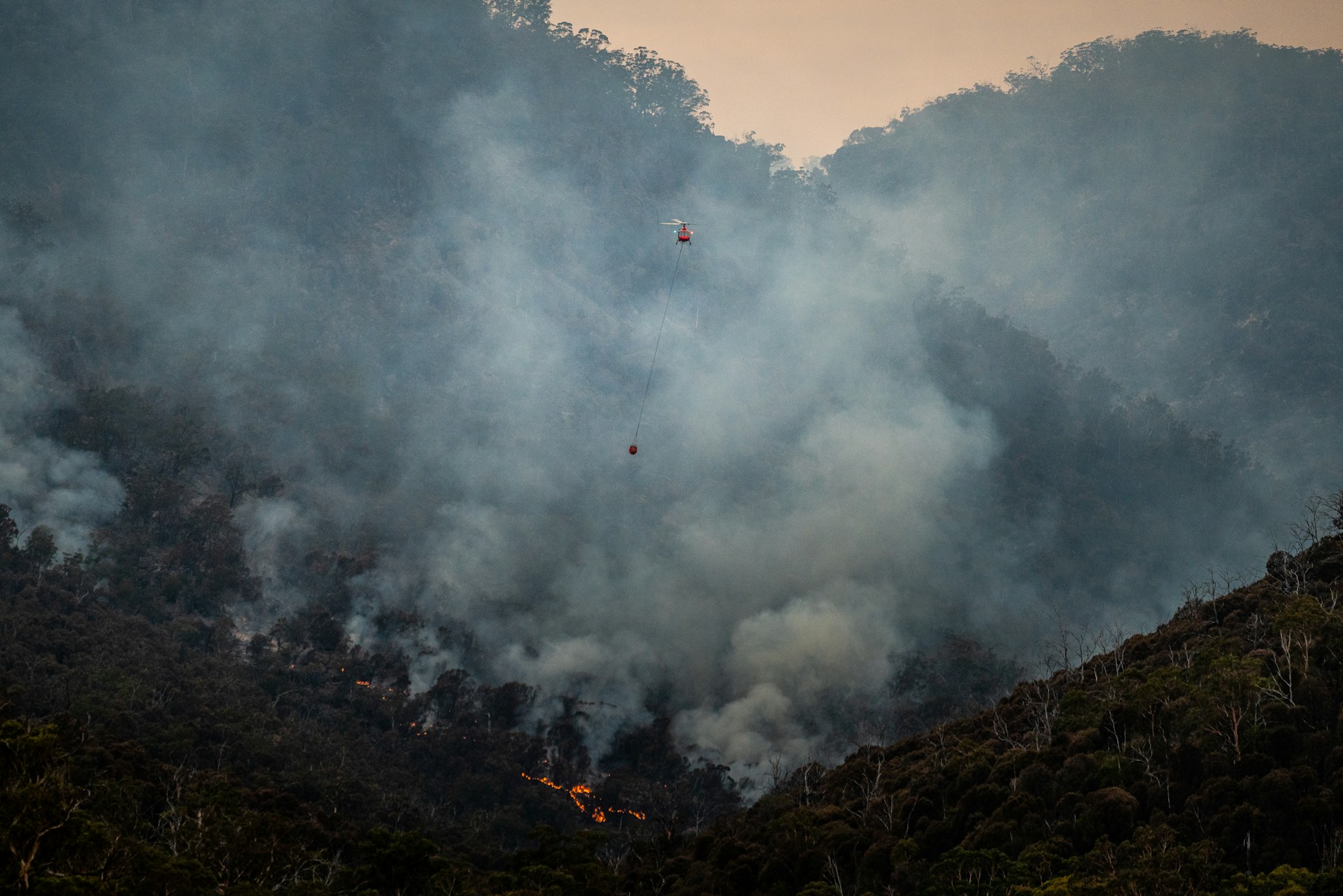 A (má) governança da Política Nacional sobre Mudança do Clima A (má) governança da Política Nacional sobre Mudança do Clima