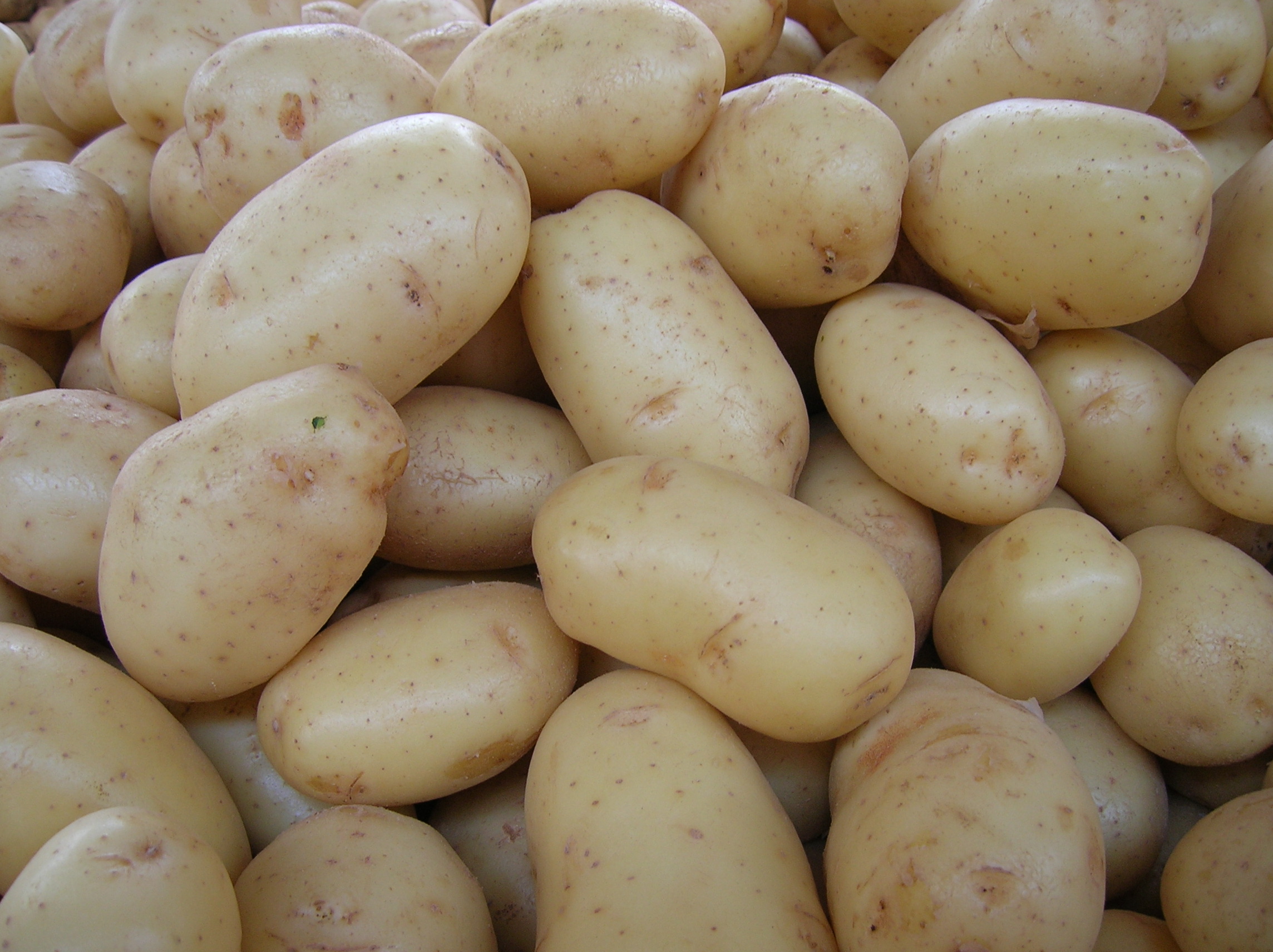 Batata, leite e café impactam na inflação de junho, mostra IPCA Batata, leite e café impactam na inflação de junho, mostra IPCA