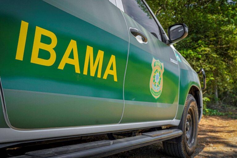 Governo ingressou no STJ contra greve ambiental horas antes de ministra prometer negociar