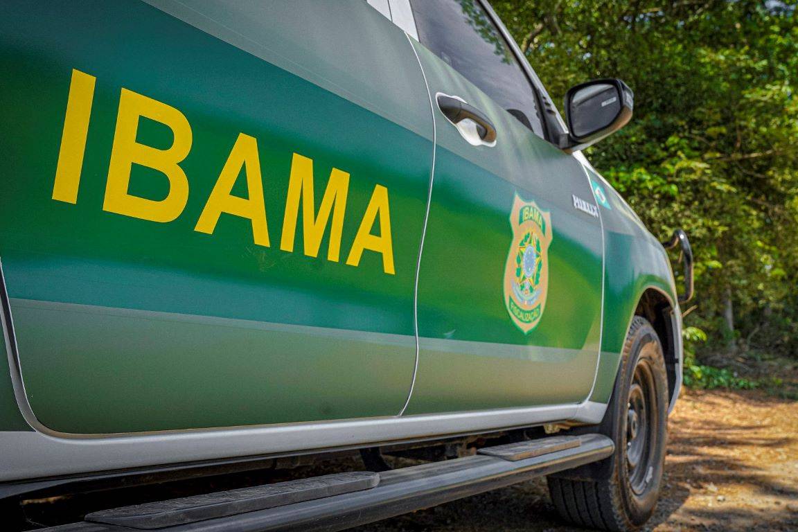 Governo ingressou no STJ contra greve ambiental horas antes de ministra prometer negociar