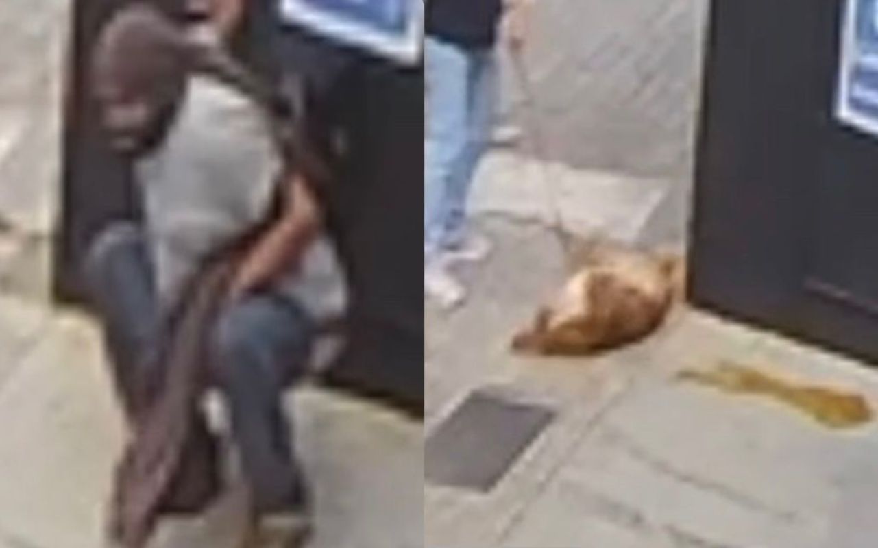 Homem faz cocô em frente a loja, cachorro se esfrega e vídeo viraliza