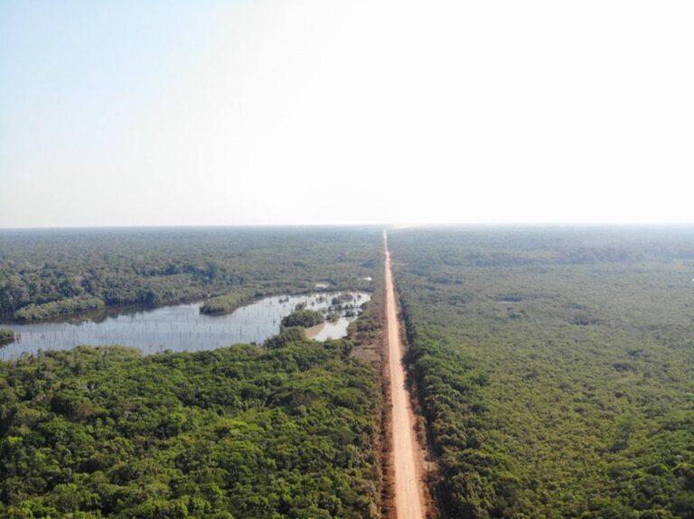 Justiça Federal suspende Licença para reconstrução de trecho da BR-319