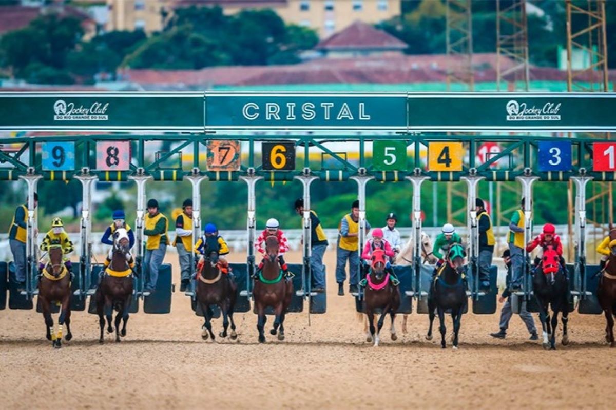 Nunes fala em construir centro de equoterapia no Jockey Club de SP Nunes fala em construir centro de equoterapia no Jockey Club de SP