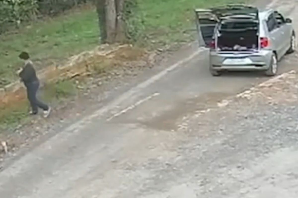 O que diz a lei sobre caso de filhotes abandonados em Itapetininga O que diz a lei sobre caso de filhotes abandonados em Itapetininga
