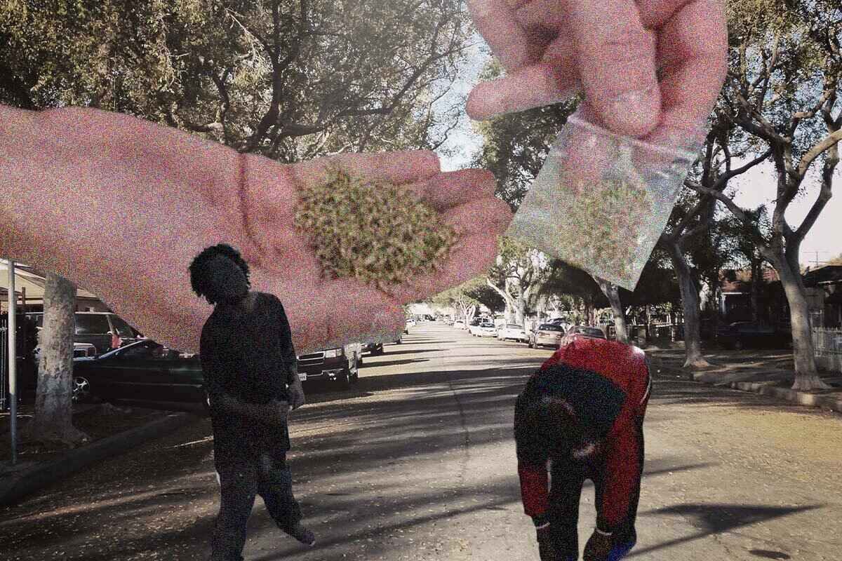Opioide nitazeno é identificado em drogas de “efeito zumbi” em SP Opioide nitazeno é identificado em drogas de “efeito zumbi” em SP
