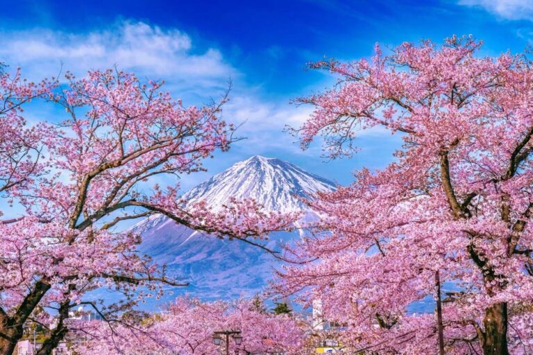 Uma Viagem incrível pelo Japão