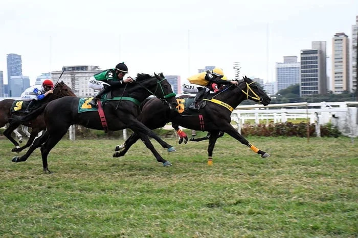 Nunes sanciona lei que proíbe corridas de cavalo com aposta em SP