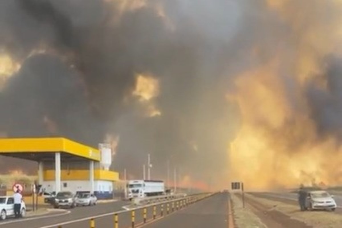 Ação humana causou 99,9% dos incêndios em SP, diz Defesa Civil Ação humana causou 99,9% dos incêndios em SP, diz Defesa Civil