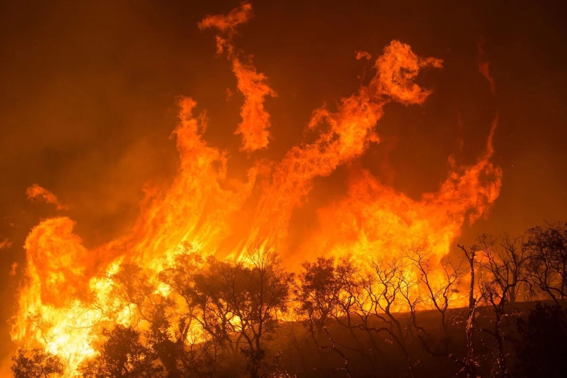 Desmatamento, clima e crimes torram o país Desmatamento, clima e crimes torram o país