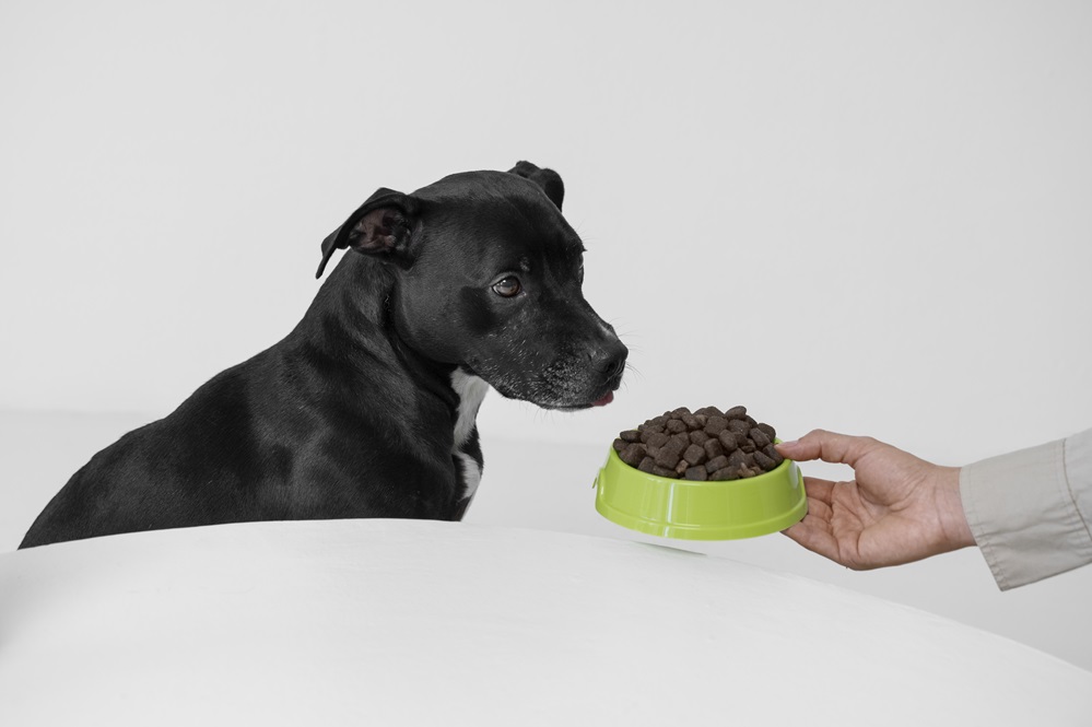 Dona da Sadia muda direção de alimentos a animais de estimação Dona da Sadia muda direção de alimentos a animais de estimação