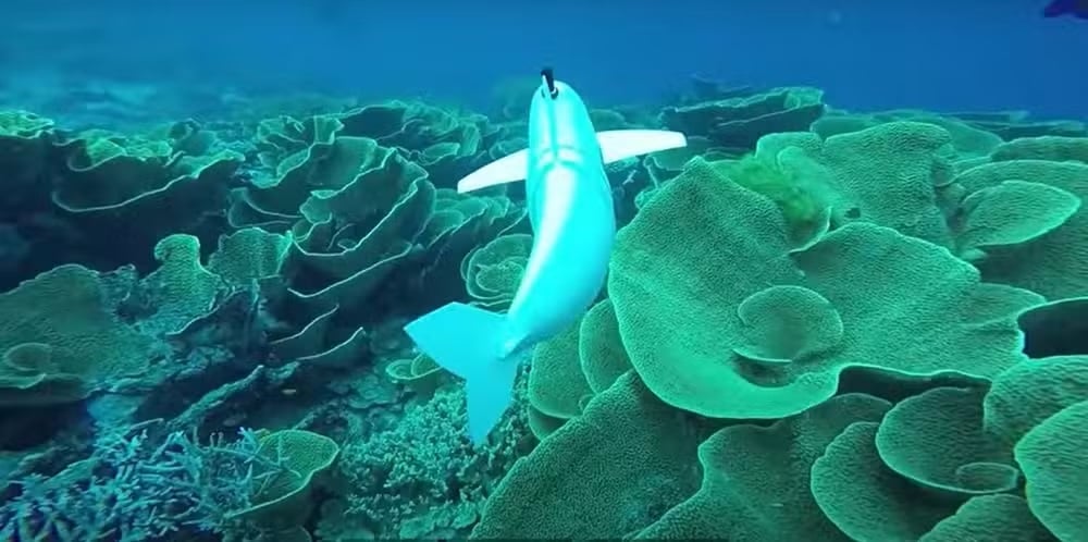 Engenheiros desenvolvem peixe-robô para coletar DNA marinho Engenheiros desenvolvem peixe-robô para coletar DNA marinho