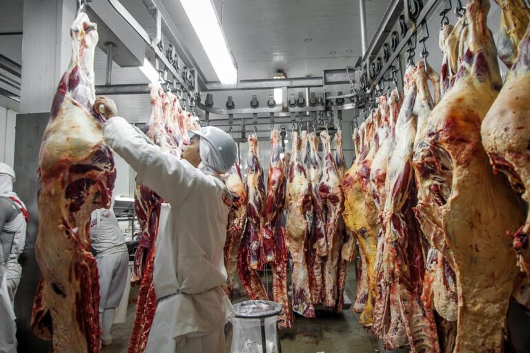 MPF começa a multar frigoríficos que descumprem normas do TAC da Carne