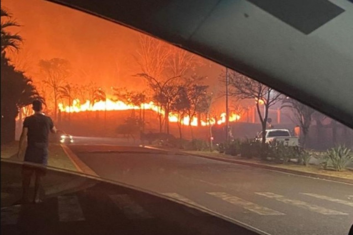 Municípios em alerta máximo por incêndios no interior de SP vão a 48 Municípios em alerta máximo por incêndios no interior de SP vão a 48