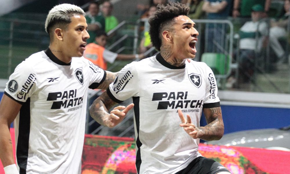 Palmeiras tem gol anulado no final, fica no empate com o Botafogo e está eliminado da Libertadores Palmeiras tem gol anulado no final, fica no empate com o Botafogo e está eliminado da Libertadores
