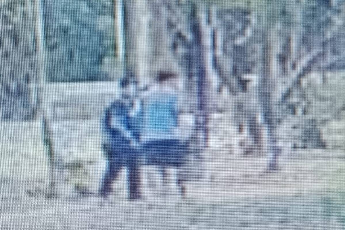 Suspeitos de assaltar visitantes no Parque Villa-Lobos são presos Suspeitos de assaltar visitantes no Parque Villa-Lobos são presos