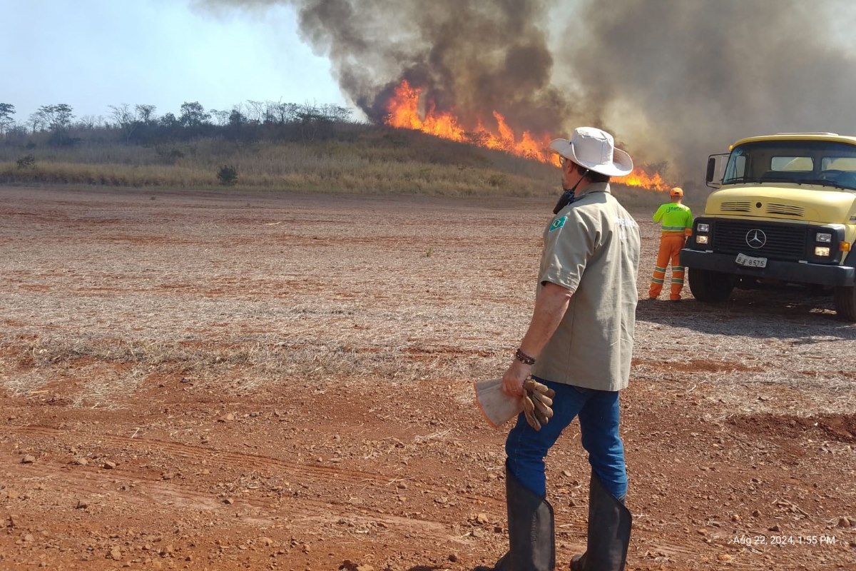 Nove municípios do interior de SP estão com focos ativos de incêndio Nove municípios do interior de SP estão com focos ativos de incêndio