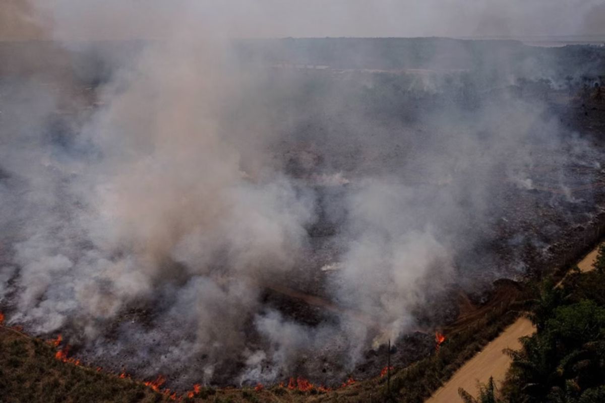 Alerta de risco elevado de incêndios é estendido para o fim de semana Alerta de risco elevado de incêndios é estendido para o fim de semana