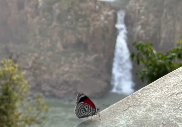 Cataratas do Iguaçu – passeios e hospedagem no Parque Nacional