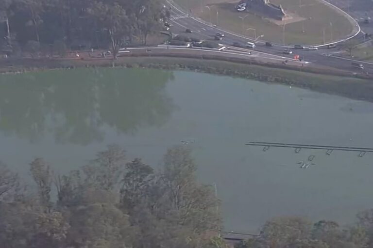 Concentração de algas faz lago do Parque Ibirapuera amanhecer verde