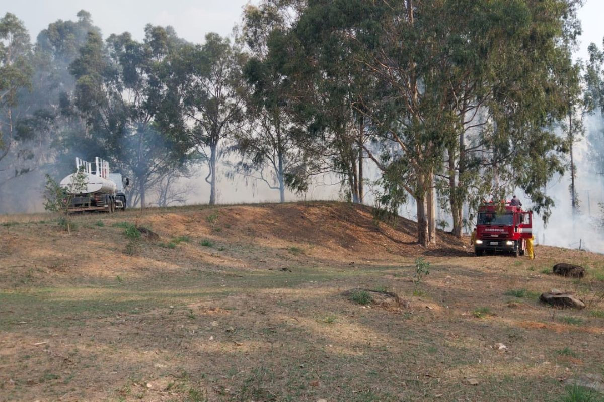 Fogo no interior de SP atinge área preservada e destrói 10 hectares Fogo no interior de SP atinge área preservada e destrói 10 hectares