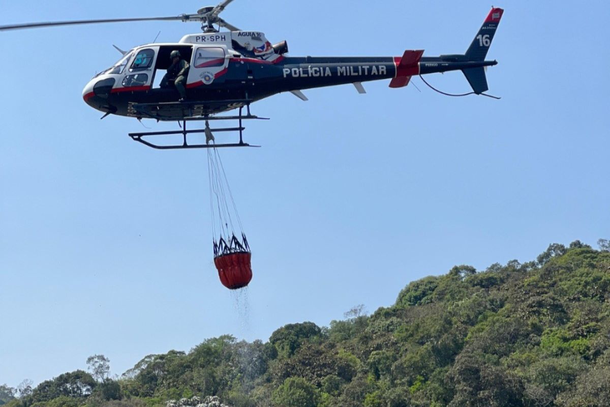 Governo Tarcísio libera R$ 10 mi para ações de combate às queimadas Governo Tarcísio libera R$ 10 mi para ações de combate às queimadas