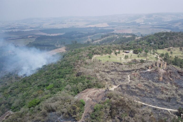 Incêndios em SP em agosto atingiram área igual a 9 cidades de Campinas