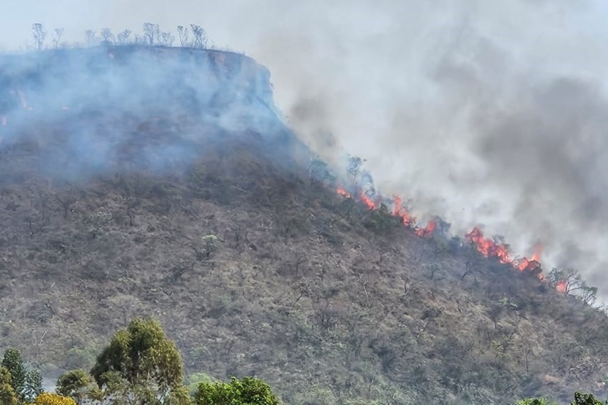 Primavera inicia com risco de incêndio em SP, alerta Defesa Civil Primavera inicia com risco de incêndio em SP, alerta Defesa Civil
