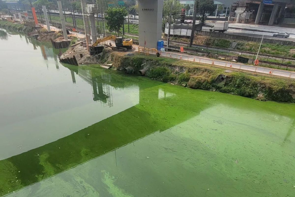 Rio Pinheiros: bombeamento é suspenso, mas água continua verde Rio Pinheiros: bombeamento é suspenso, mas água continua verde