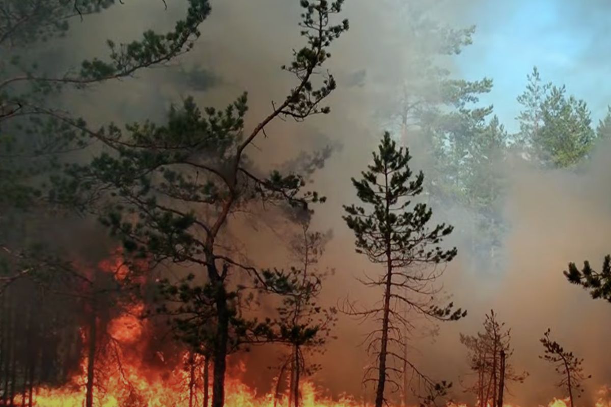 São Paulo libera R$ 5,9 milhões para combater incêndios com aeronaves