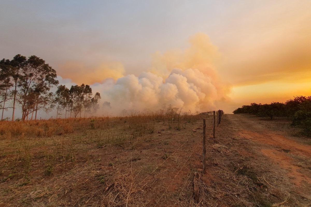 Sobe para 3 o número de municípios com focos de incêndio ativos em SP Sobe para 3 o número de municípios com focos de incêndio ativos em SP