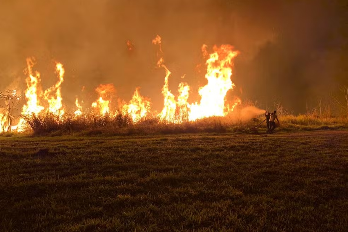 Vídeo: fogo devasta área preservada e atinge Inpe no Vale do Paraíba Vídeo: fogo devasta área preservada e atinge Inpe no Vale do Paraíba