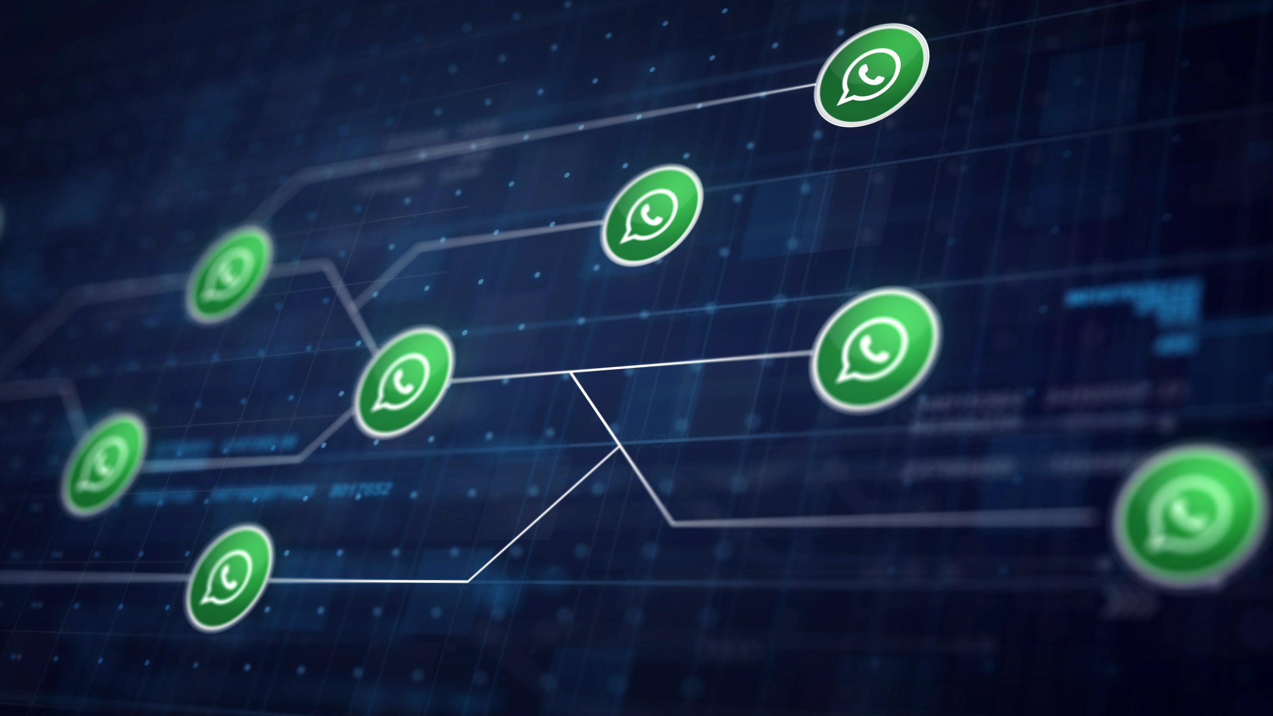 Zapper monitora conversas de WhatsApp corporativo com inteligência artificial Zapper monitora conversas de WhatsApp corporativo com inteligência artificial