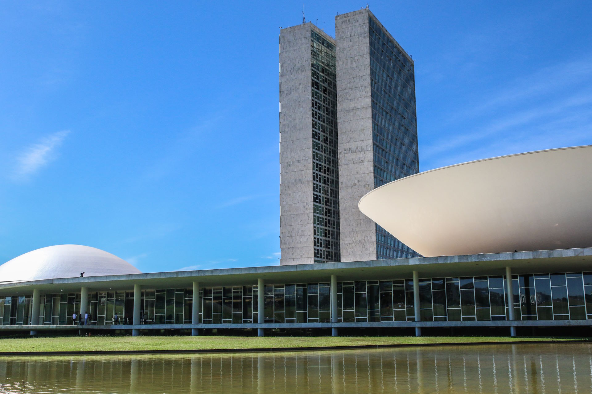 Projeto de lei que aumenta pena para crimes contra fauna avança no Congresso Projeto de lei que aumenta pena para crimes contra fauna avança no Congresso