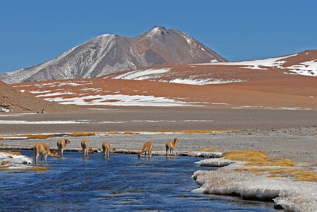 Chile é destino turístico mais procurado entre 2020 e 2023
