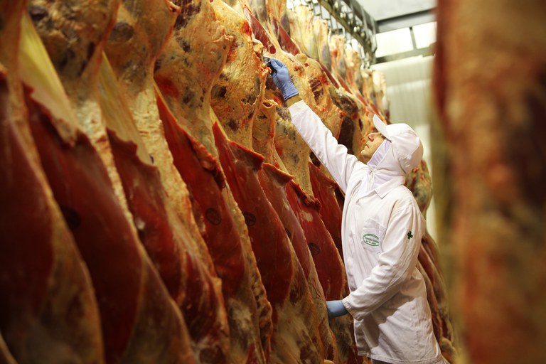 Pesquisa aponta que preço da carne bovina voltou a subir no Brasil