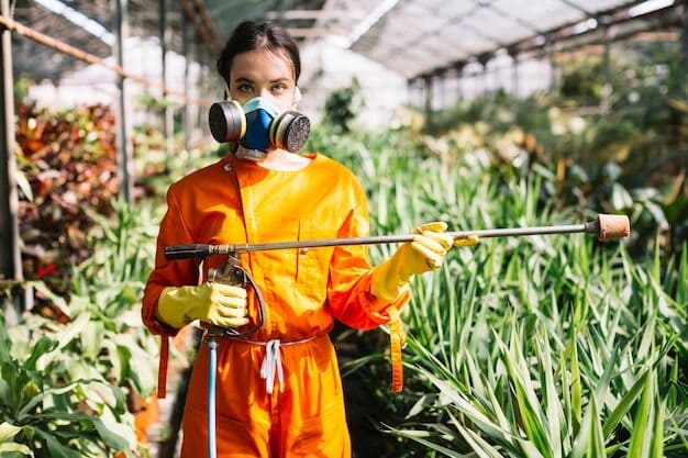 Casa de Veneno: A solução rápida e eficaz para combater a infestação de ratos em ambientes urbanos