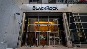 BlackRock abandona iniciativa ambientalista da ONU