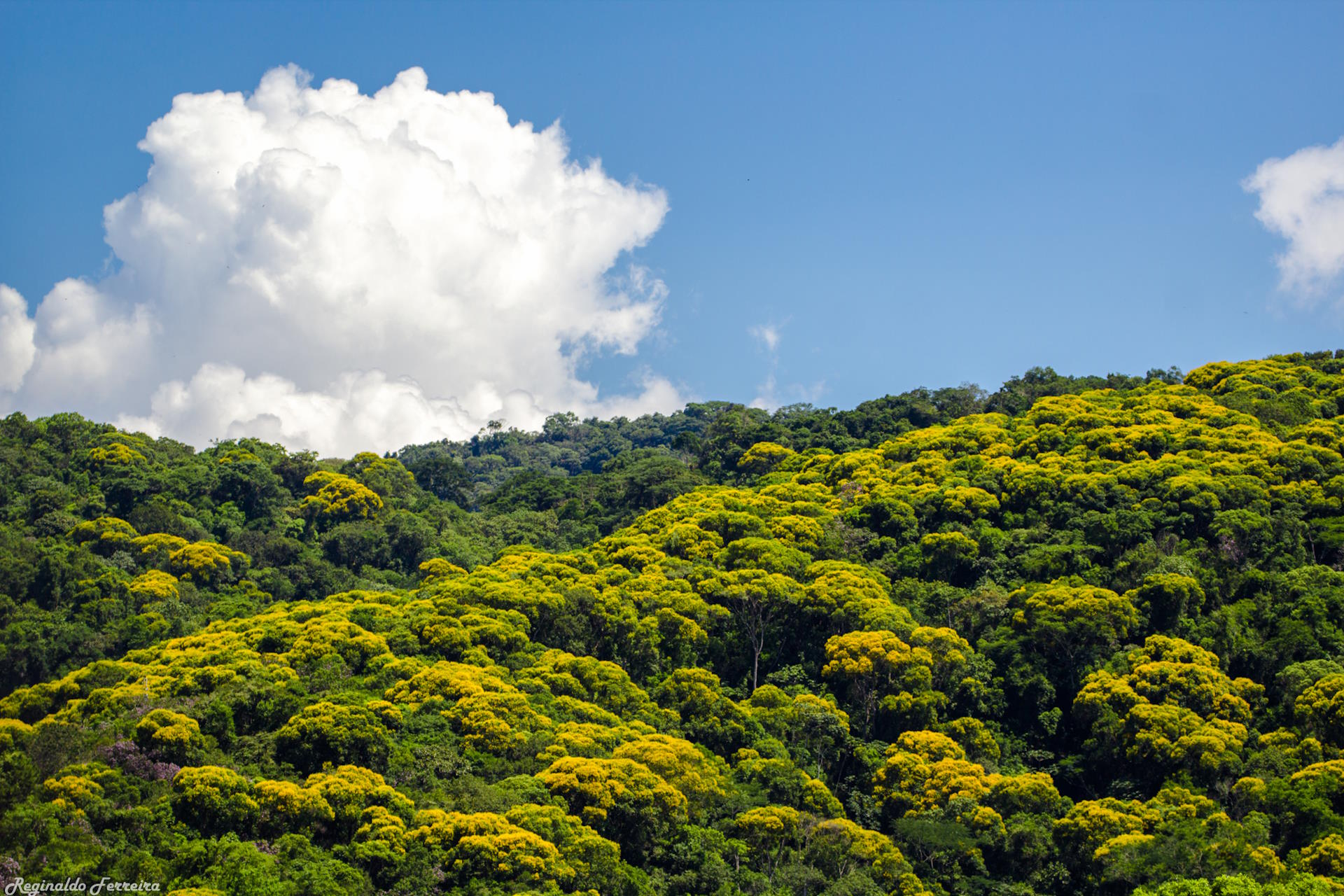 Reforma tributária ampliará repasses a municípios que protegem a natureza