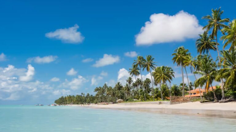 Viajar sem gastar muito? Conheça algumas opções para o verão de 2025