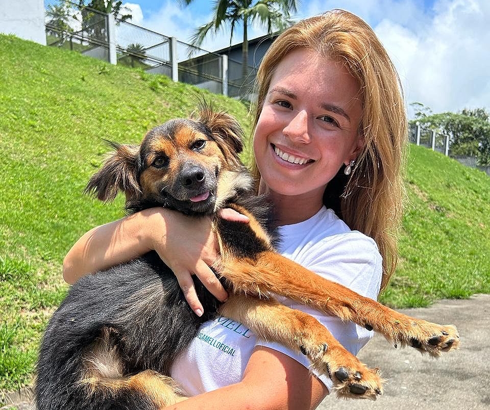 Células-tronco são usadas no tratamento de doenças em pets Células-tronco são usadas no tratamento de doenças em pets